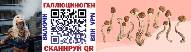 Купить  Менделеевск  Галлюциногенные грибы ЛСД 